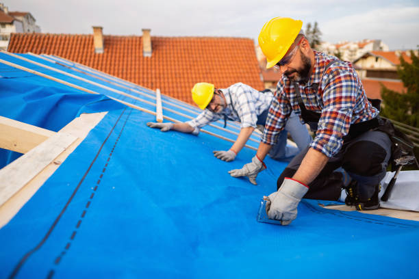Best Roof Gutter Cleaning  in Loudonville, NY